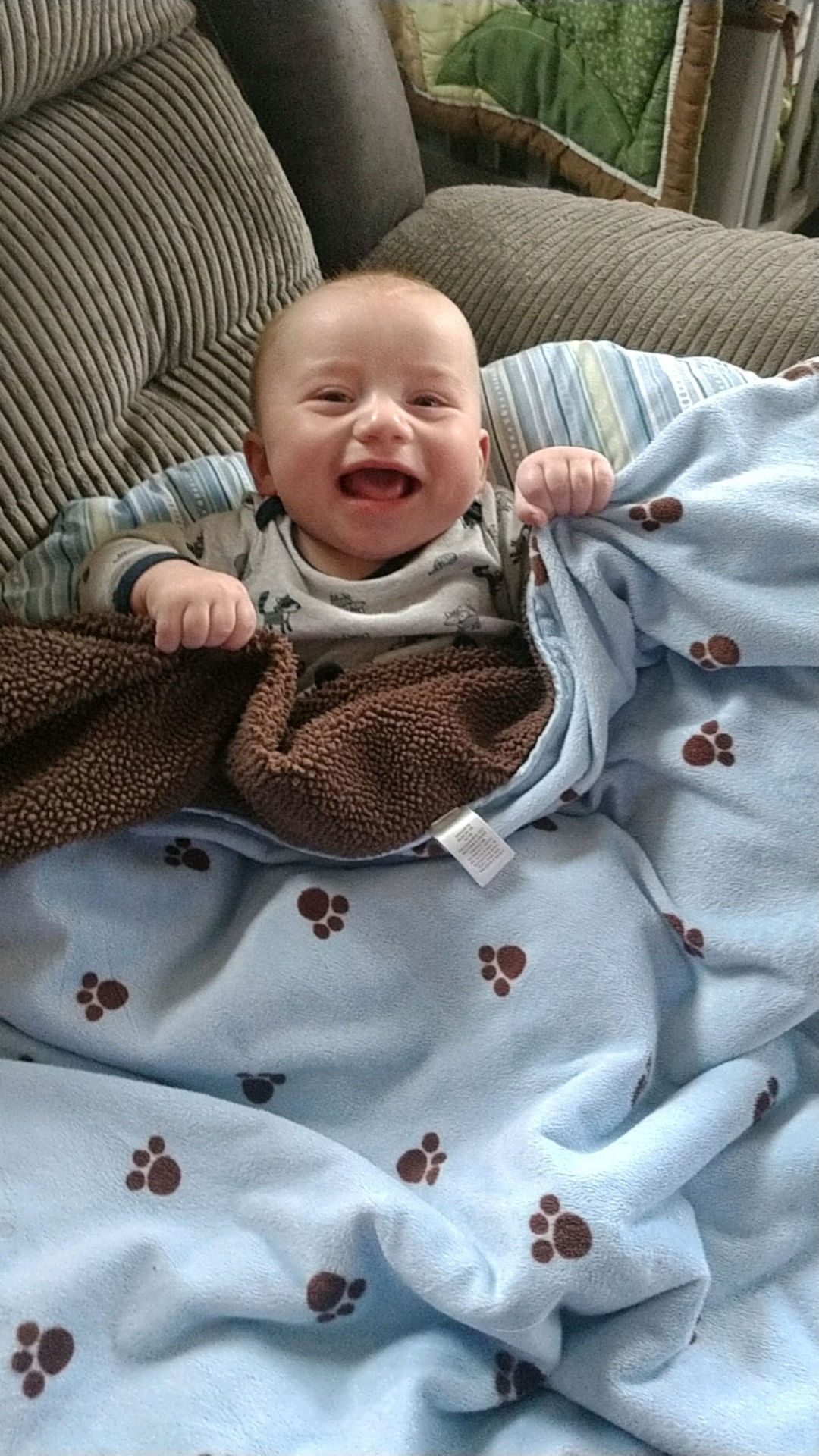 Greyson Vollmer